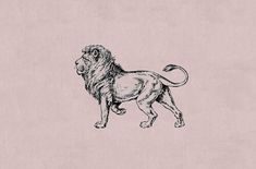 a black and white drawing of a lion on a pink background