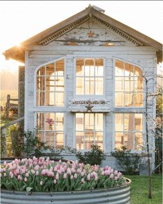 tulips are planted in a metal planter near a house with large windows