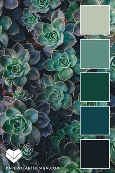 some green plants with blue and grey colors in them, the color scheme is very similar to