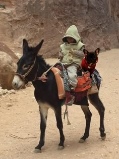 a small child riding on the back of a donkey