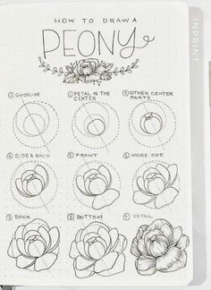 Ako Kresliť, Floral Drawings, Peony Drawing, Flower Doodle, Amy Brown, Canvas Painting Ideas