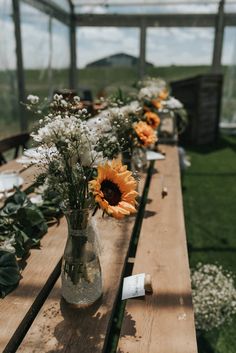 several vases filled with flowers sitting on top of a wooden table in a greenhouse