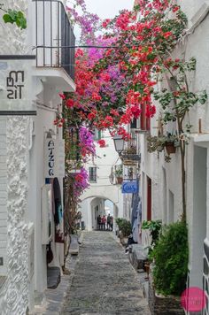 an alley way with flowers growing on the buildings