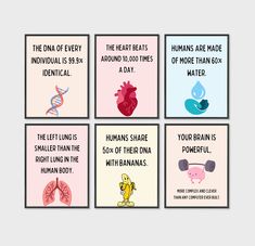 four posters with different types of health related items on them, including the heart and lungs