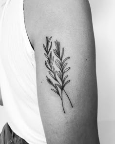 a black and white photo of a plant on the arm