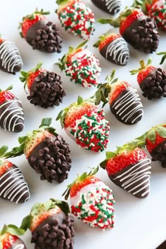 chocolate covered strawberries are arranged on a white platter