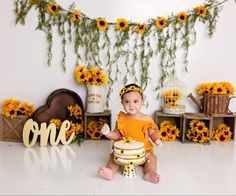 Sunflower cake smash|cake smash ideas|Fall cake smash|1st birthday session. Sunflower Birthday Parties, Balloon Boxes, Birthday Party Box, Baby Shower Box, Her First Birthday, Sunflower Party, 1st Birthday Photoshoot, Baby Letters, 1st Birthday Photos