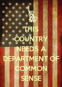 an american flag with the words this country needs a department of common sense on it