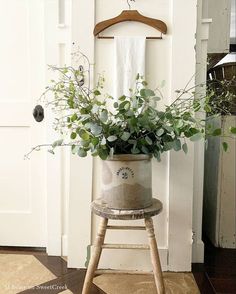 a potted plant sitting on top of a wooden stool