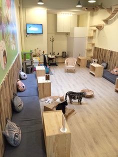 a room filled with lots of wooden boxes and stuffed animals sitting on the floor next to each other