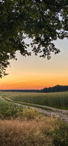 the sun is setting over an open field with a dirt road in front of it