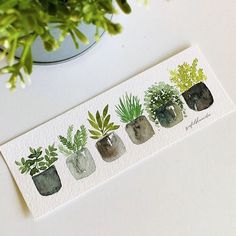 there are plants in the pots on this card