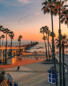 palm trees line the beach as people walk on the boardwalk at sunset in santa monica, california