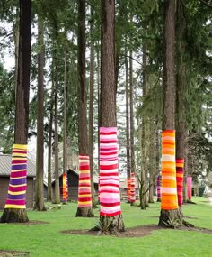 colorfully decorated trees stand in the middle of a grassy area surrounded by pine trees