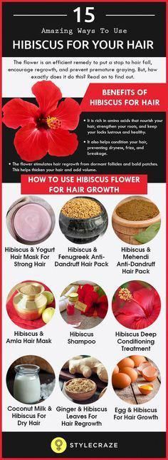 The latest hair craze is using hibiscus for hair growth! But does science support this claim? Learn about the benefits of using hibiscus on your hair here! Worst Feeling In The World, Benefits Of Hibiscus, Regrowth Hair, Worst Feeling, Hair Growth Challenge, Homemade Hair Products