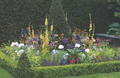 a garden filled with lots of different types of flowers next to a lush green hedge