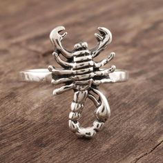 This beautifully-detailed sterling silver ring is designed by India's Ajay Patil. Crowning the lightly hammered band is a formidable scorpion, symbol of the Scorpio zodiac sign which applies to those born between October 23 and November 22. Those born under the sign of Scorpio are said top be passionate and independent. Scorpion Symbol, Scorpio Ring, Scorpion Ring, Scorpio Jewelry, Be Passionate, Scorpio Zodiac Sign, The Scorpio, Hammered Band, Ring Hand