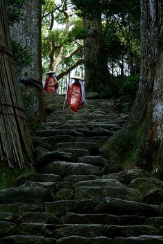 there are many steps that lead up to the trees in this area, and one is red