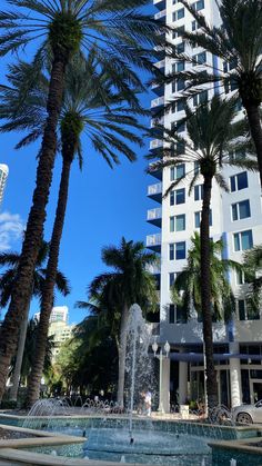 palm trees and fountains in front of a hotel