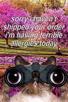 a cat with binoculars looking at cherry blossom trees. white text that reads "sorry i haven't shipped your order i'm having terrible allergies today" Sweet Dishes Recipes, Etsy Seo, Allergies