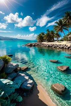 the water is crystal blue and there are palm trees on the shore in the background