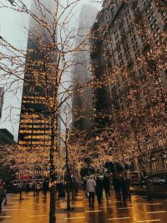 people are walking down the street with christmas lights on trees and buildings in the background