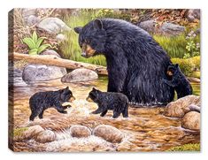 an adult bear and two young bears are walking through the water in front of some rocks