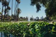 there is a fountain in the middle of this park with lots of plants and trees