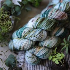 several skeins of yarn sitting on top of a table next to some plants