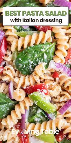 A bowl full of Italian dressing pasta salad. Simple Pasta Salad Dressing, Dressings For Pasta Salads, Pasta Salad Recipes With Italian Dressing, Italian Dressing Pasta, Salad With Parmesan Cheese, Pasta Salad With Italian Dressing, Simple Pasta Salad, Italian Dressing Pasta Salad, Memorial Day Picnic