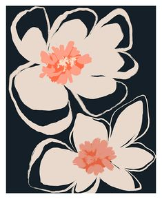 two white and pink flowers on a black background