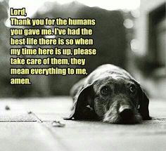 a dog laying down on the ground with a quote about it saying, lord, thank you for the humans you gave me i've had the best life there is so when my