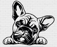 a black and white drawing of a dog on a brick wall, with the words svg