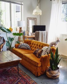 a living room filled with furniture and plants