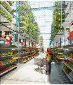 an artist's rendering of a woman shopping in a grocery store with produce on shelves