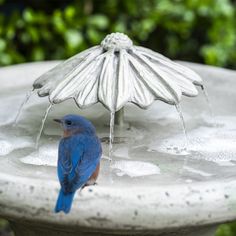 a small blue bird sitting on top of a fountain with an umbrella over it's head