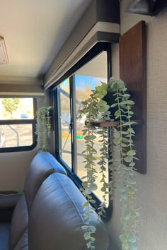 a living area with couches and plants in the window sill next to it