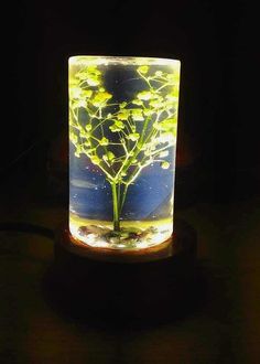 a glass vase filled with water and flowers on top of a wooden stand in the dark