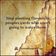 a painting with a quote on it that says stop planting flowers in people yards who aren't going to water them