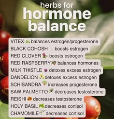 Hormone Nutrition, Adrenal Health, Healthy Hormones, Menstrual Health, Feminine Health, Hormone Balance, Herbal Healing, Herbs For Health, Naturopathy