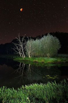 the night sky is reflected in the water and trees are on the other side of the lake