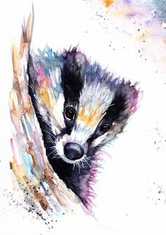 a watercolor painting of a badger cub