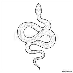 a black and white drawing of a snake