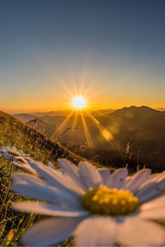 A New Beautiful Sunrise Good Day Sunshine, Sunrise Pictures, Cocoppa Wallpaper, Art Photography Portrait, Good Morning World, Cute Tumblr Pictures, Beautiful Images Nature