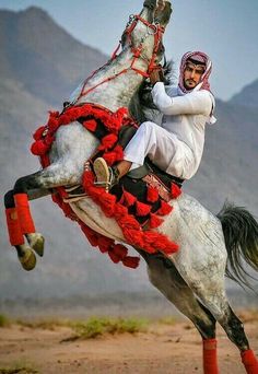 a man riding on the back of a white horse