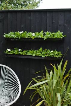 an outdoor garden with plants growing on the wall and hanging from it's sides