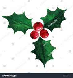 watercolor christmas holly leaves and berries with red berries on the top, isolated against a white background