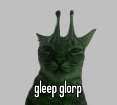 a cat with its head in the shape of a crown and text that reads, glep glopp