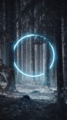 a glowing circle in the middle of a forest with snow falling on it and trees