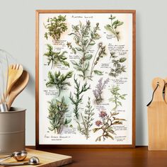 an illustration of herbs displayed on a table with utensils